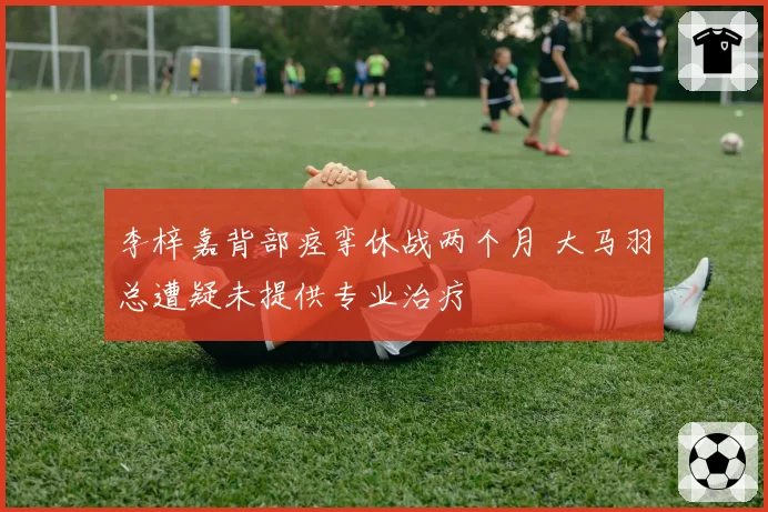 李梓嘉背部痉挛休战两个月 大马羽总遭疑未提供专业治疗