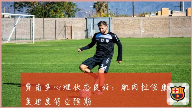 费南多心理状态良好，肌肉拉伤康复进度符合预期